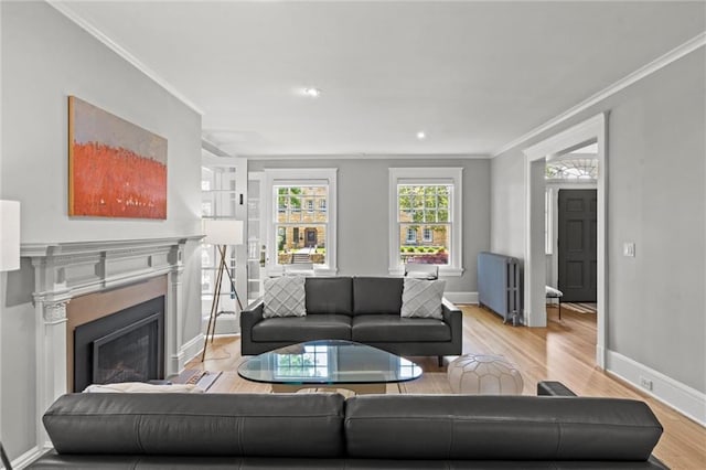 living room with radiator heating unit, light hardwood / wood-style flooring, and crown molding