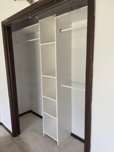 view of closet