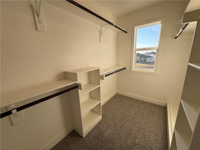 spacious closet with dark colored carpet