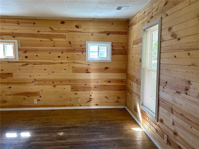 empty room featuring wood walls and a healthy amount of sunlight