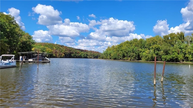 28530 Shore Rd, Warsaw, MO 65355 - water view featuring a forest and a boat dock
