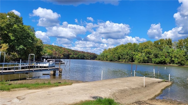 dock area featuring a water view