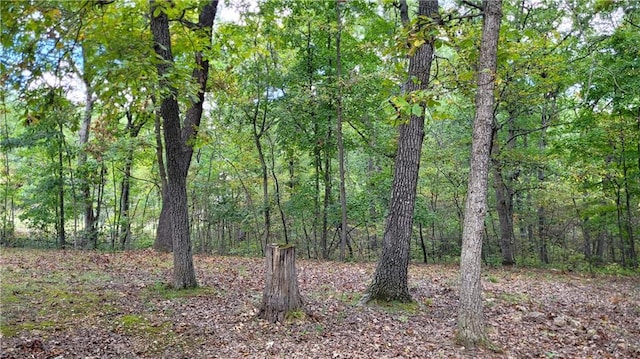 view of local wilderness