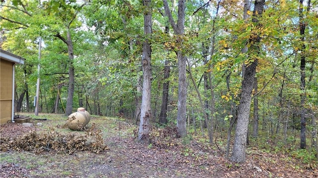 28530 Shore Rd, Warsaw, MO 65355 - view of yard featuring a forest view