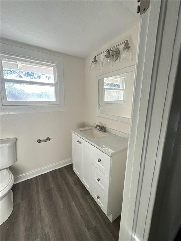 bathroom featuring hardwood / wood-style flooring, vanity, and toilet