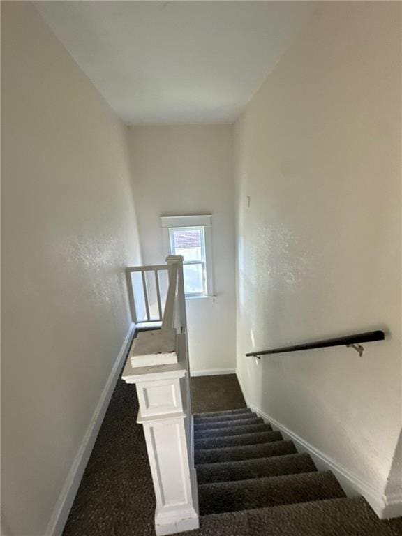 stairs with carpet floors