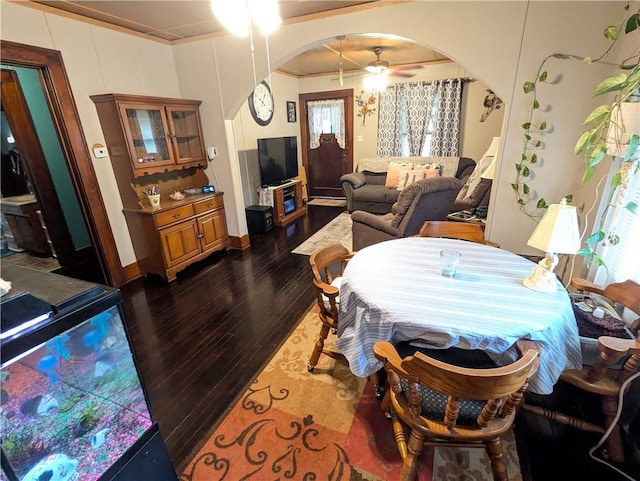 dining room with a wealth of natural light, dark hardwood / wood-style flooring, ceiling fan, and crown molding