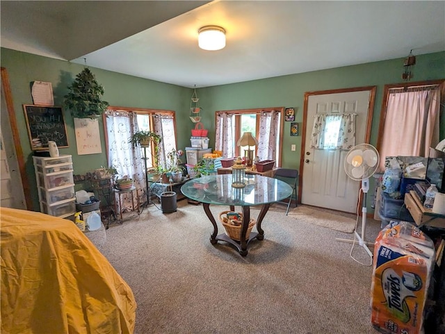 view of carpeted entryway