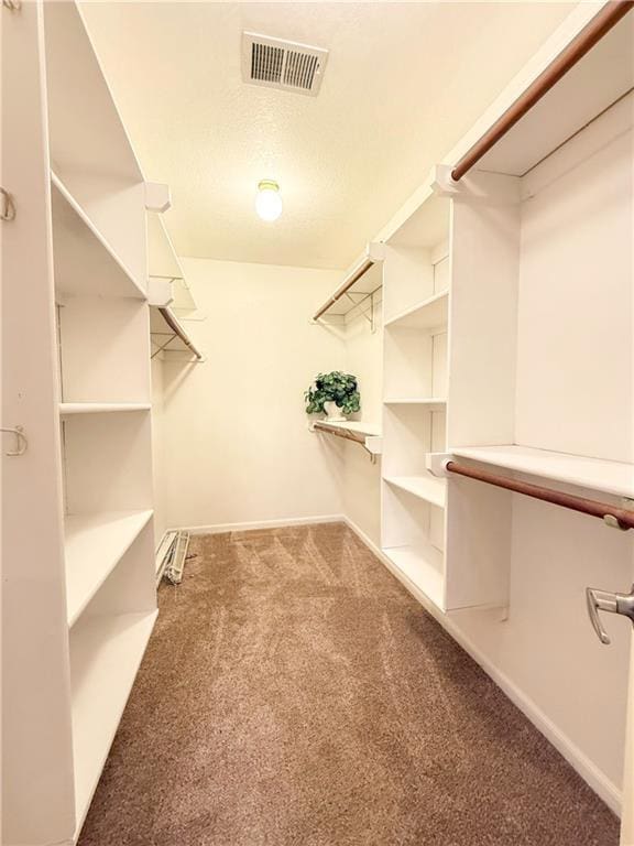 spacious closet featuring carpet