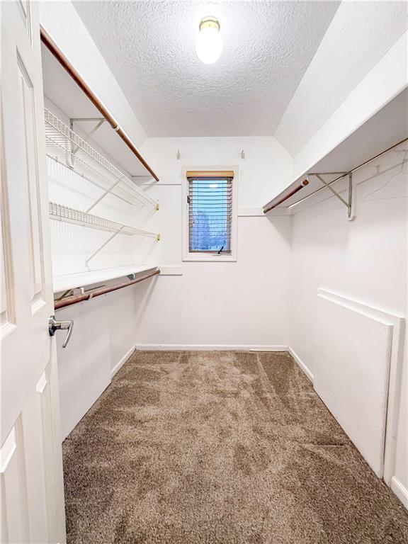 walk in closet featuring carpet