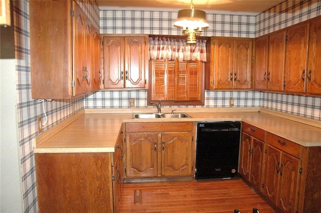 kitchen with hanging light fixtures, sink, light wood-type flooring, and black dishwasher