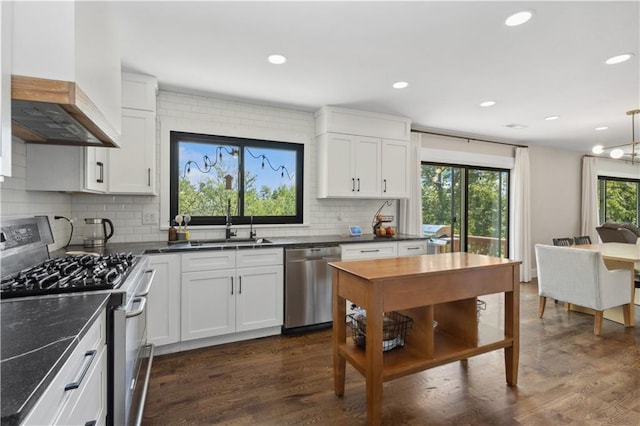 kitchen with white cabinets, custom exhaust hood, dark hardwood / wood-style floors, and stainless steel appliances