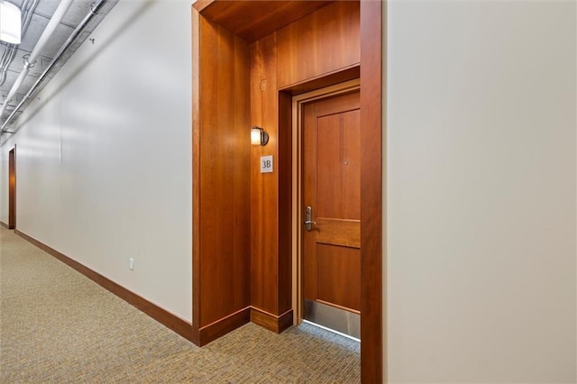 hallway with wooden walls and carpet flooring