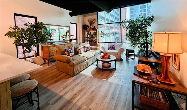 living room featuring plenty of natural light, floor to ceiling windows, and light wood-type flooring