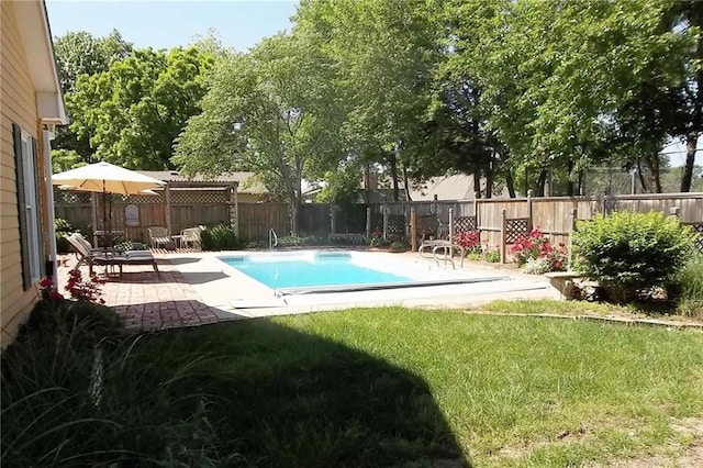 view of swimming pool with a patio