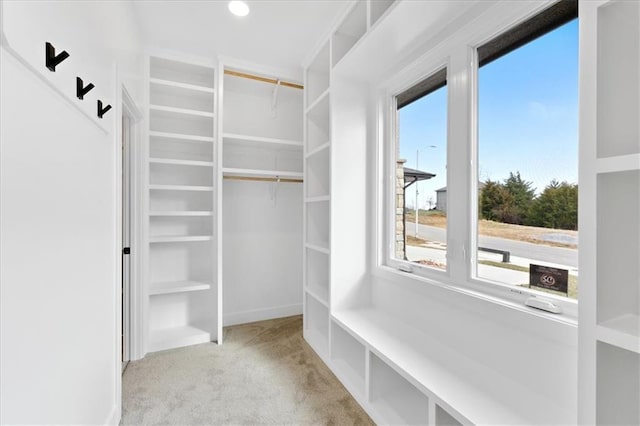 spacious closet featuring light carpet