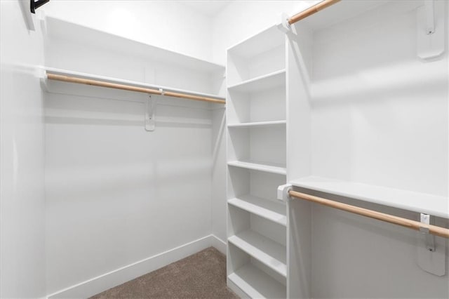 walk in closet with carpet flooring