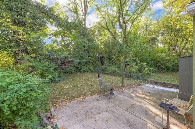 view of yard with a patio area