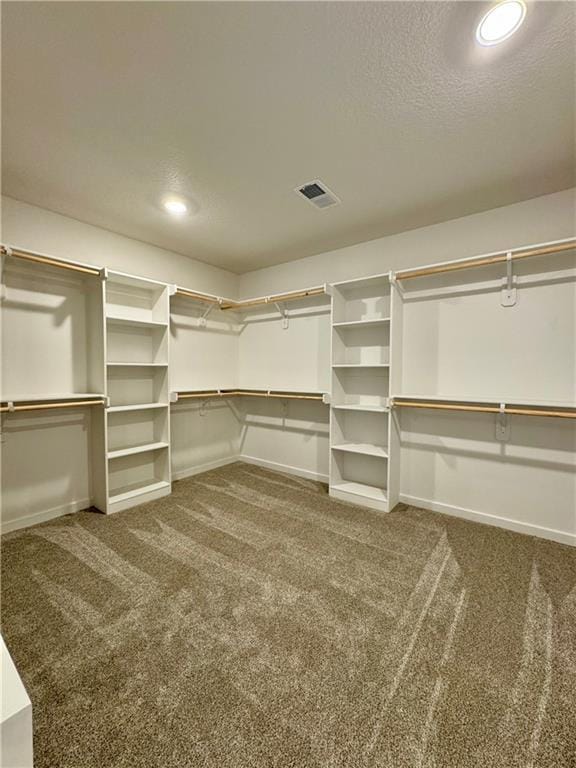 walk in closet featuring carpet floors