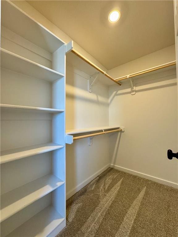 walk in closet featuring carpet flooring