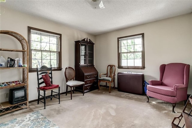 sitting room featuring light carpet, a textured ceiling, and a healthy amount of sunlight