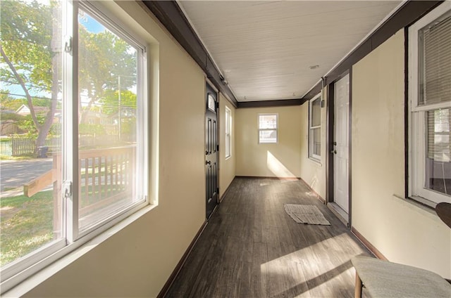 corridor featuring wood-type flooring and plenty of natural light