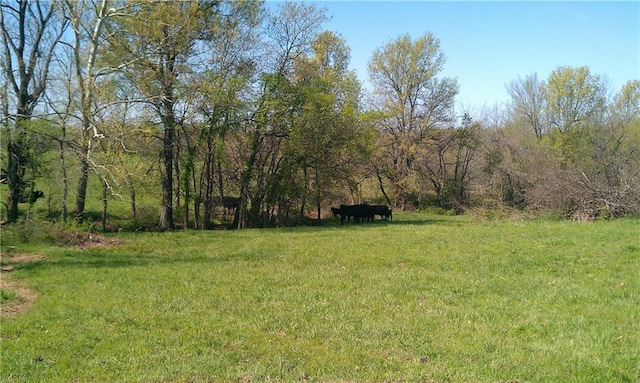 Listing photo 2 for 32910 S Gregg Rd, Creighton MO 64739