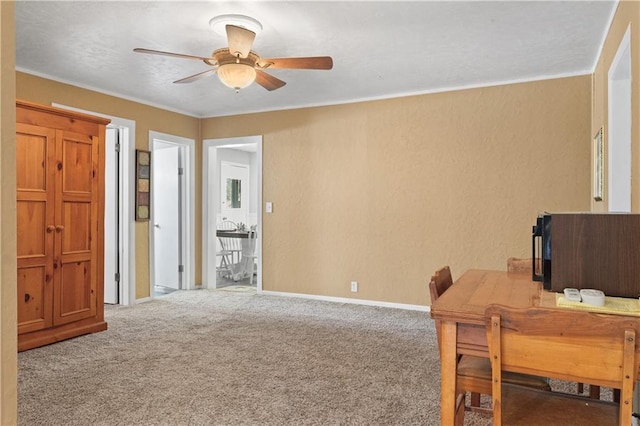 carpeted office with baseboards, a ceiling fan, and crown molding