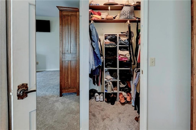 spacious closet with light colored carpet