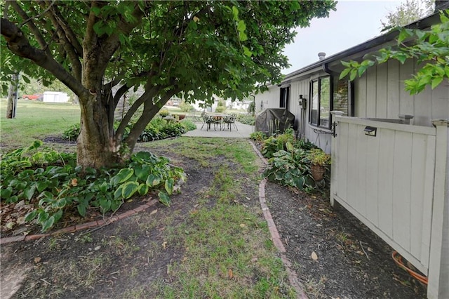 view of yard featuring a patio area