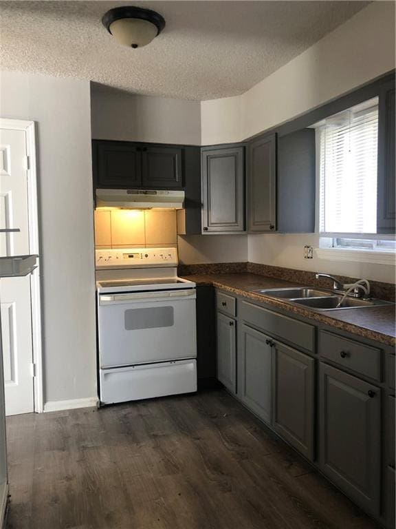 kitchen with white range with electric stovetop, dark hardwood / wood-style floors, sink, and a textured ceiling