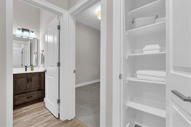 bathroom featuring wood-type flooring and vanity