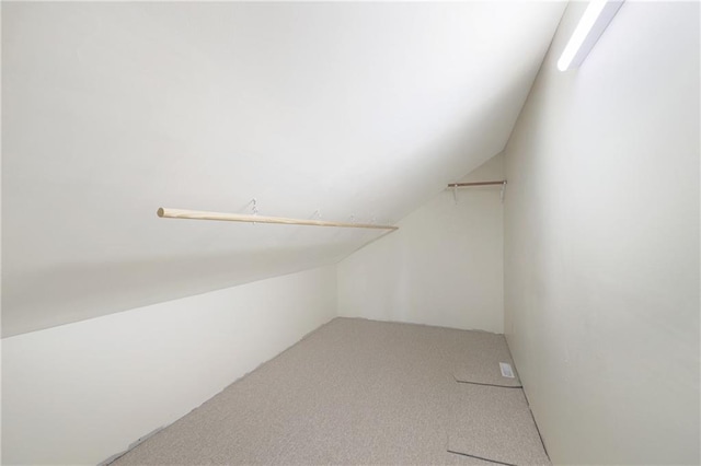 walk in closet with lofted ceiling and carpet