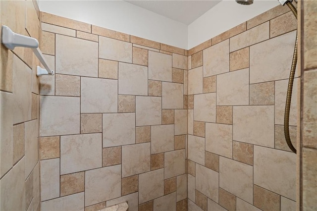 3438 N 123rd St, Kansas City, KS 66109 - room details with tiled shower