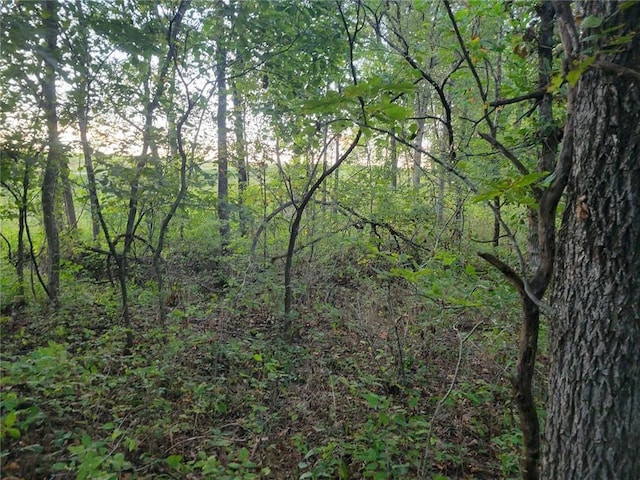 Listing photo 2 for TBD H Highway, El Dorado Springs MO 64744