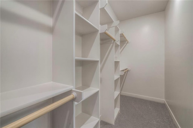 spacious closet with carpet floors