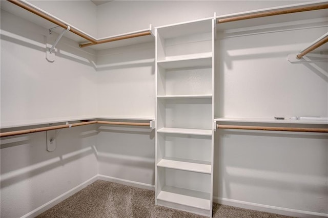 spacious closet featuring carpet