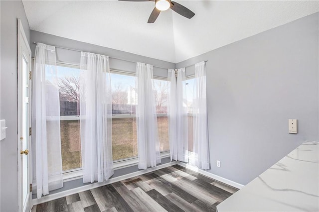 interior space featuring a wealth of natural light, dark hardwood / wood-style flooring, ceiling fan, and vaulted ceiling