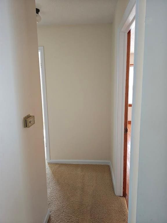 517 1st St, Platte City, MO 64079 - corridor with carpet and baseboards