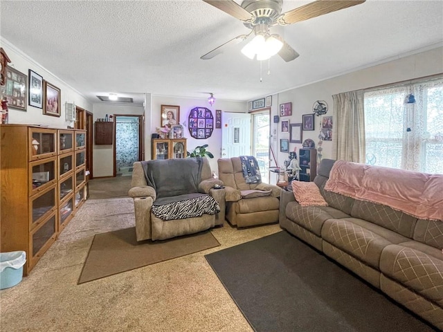 living room featuring a textured ceiling, carpet flooring, and ceiling fan