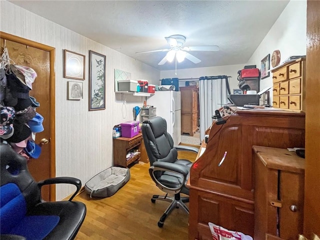 office space featuring ceiling fan and hardwood / wood-style flooring