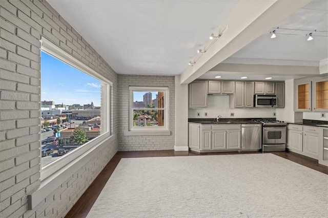 kitchen with sink, brick wall, rail lighting, stainless steel appliances, and dark hardwood / wood-style flooring