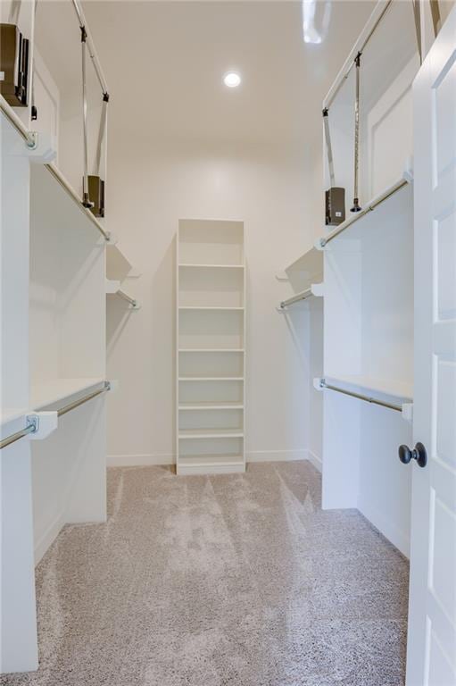 2202 W 178th Ter, Overland Park, KS 66085 - walk in closet featuring light colored carpet