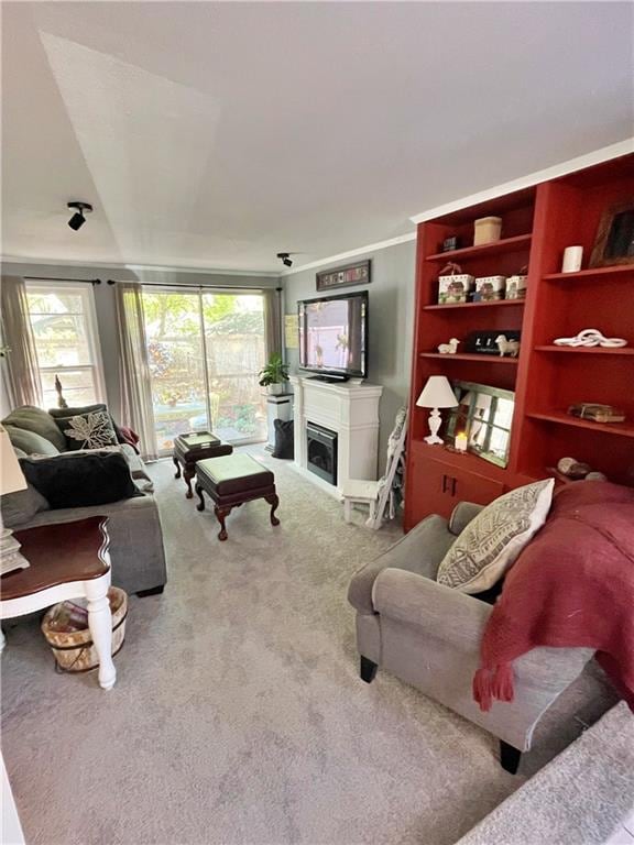 living room featuring carpet flooring