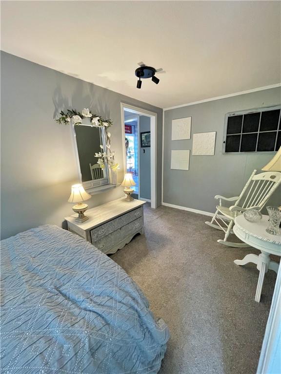 bedroom featuring carpet floors