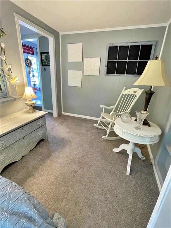 sitting room featuring carpet floors and crown molding