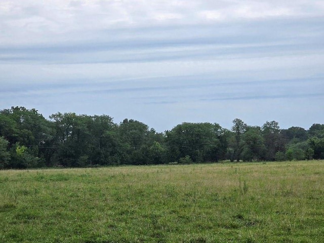 view of local wilderness featuring a rural view