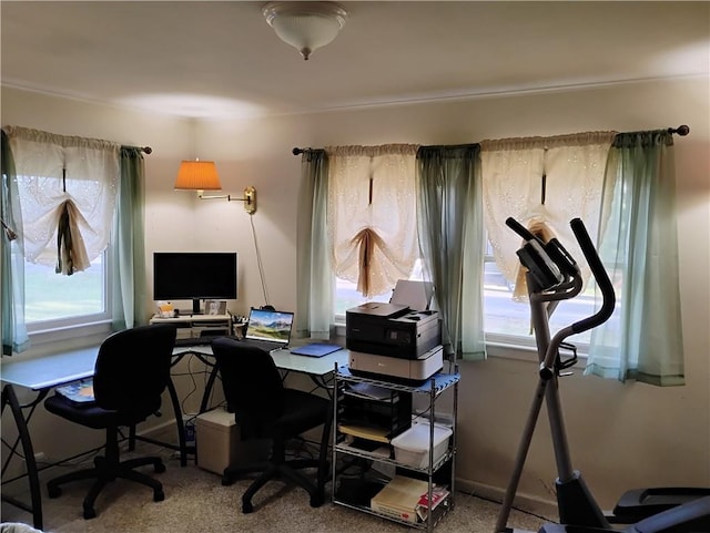 view of carpeted home office