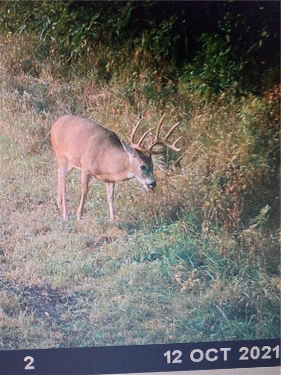 Missouri-Taylor St, Bedford, IA 50833 - photo 33