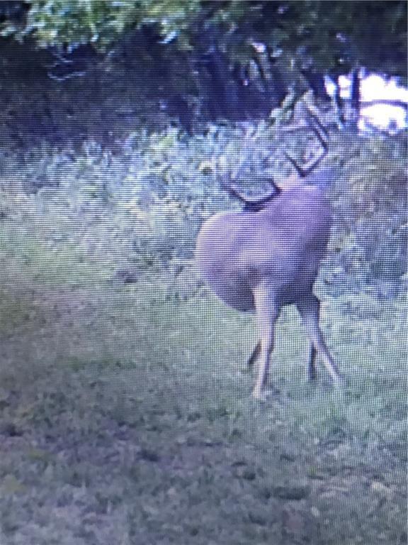 Missouri-Taylor St, Bedford, IA 50833 - photo 34